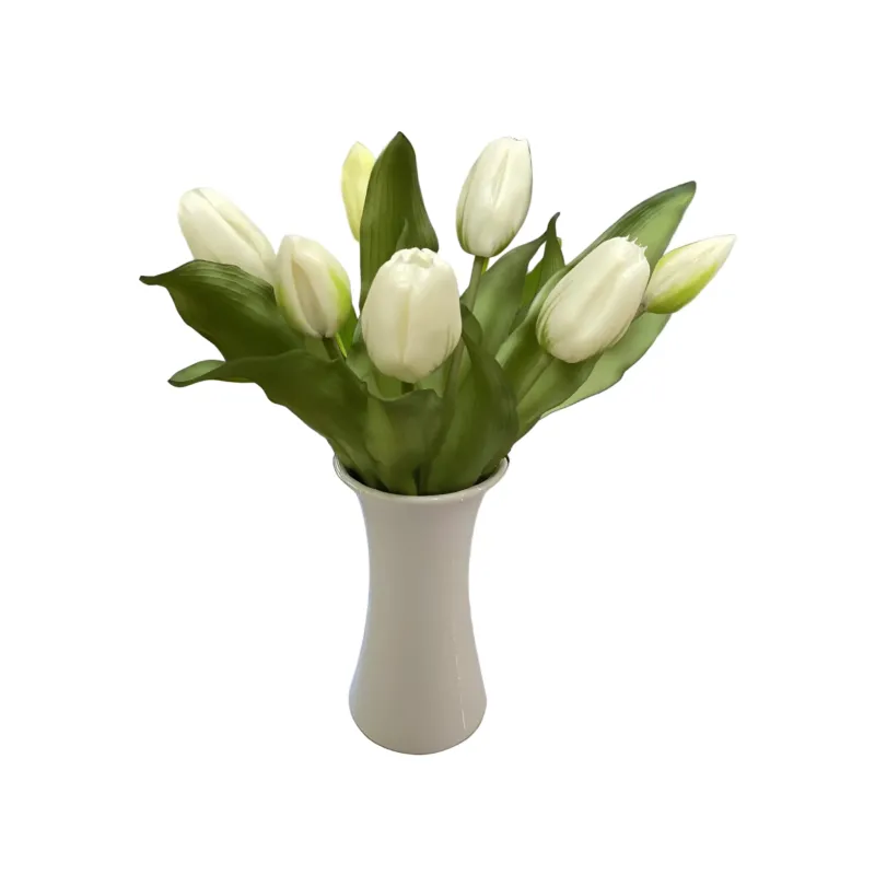 12" Formosa Tulip Bundle | White