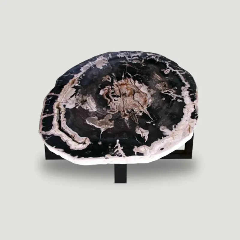 Petrified Wood Slab Coffee Table - 34" x 29"x 2"H - PFT0439/20 | ModishStore | Petrified Wood Slabs